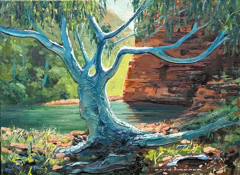 Karijini Valley