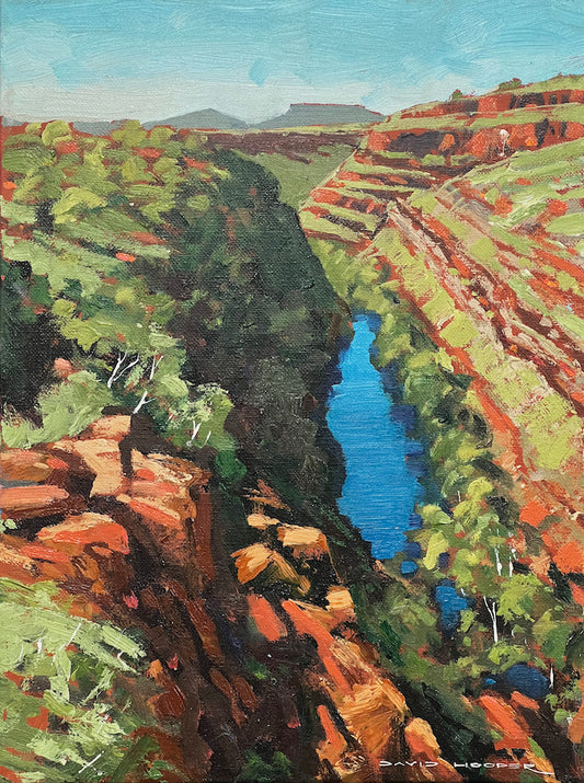 Karijini View
