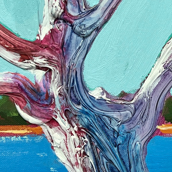 River Gums 7