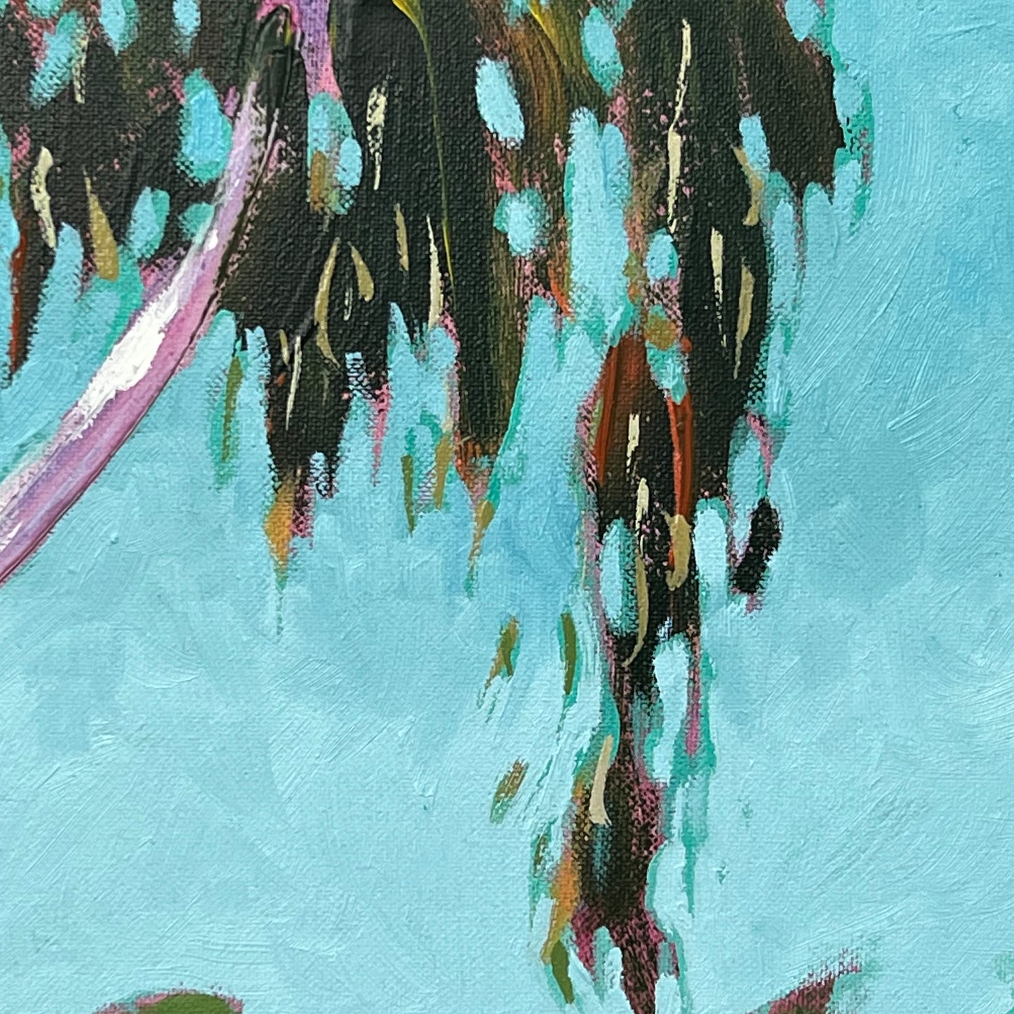 River Gums 7