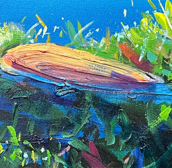 River Gums 7