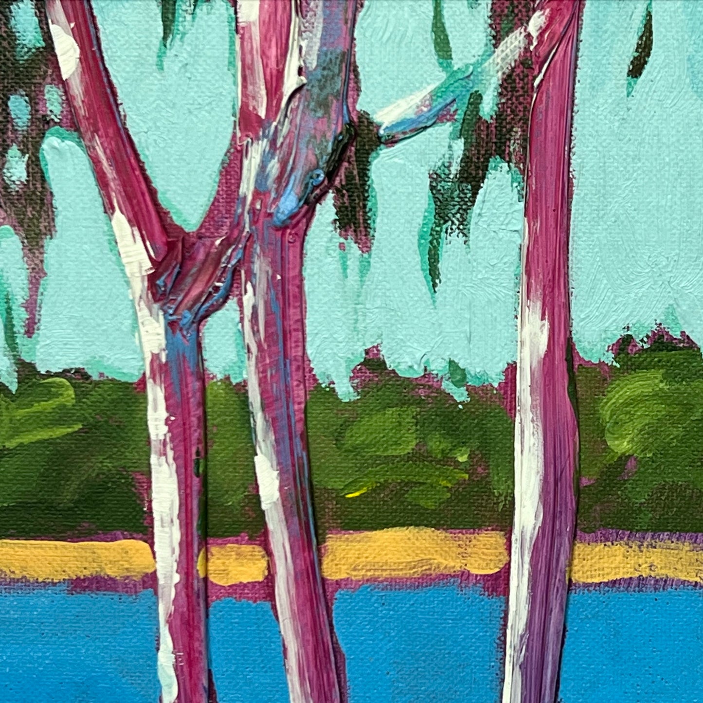 River Gums 8