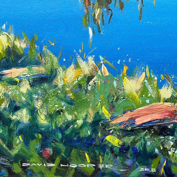 River Gums 8
