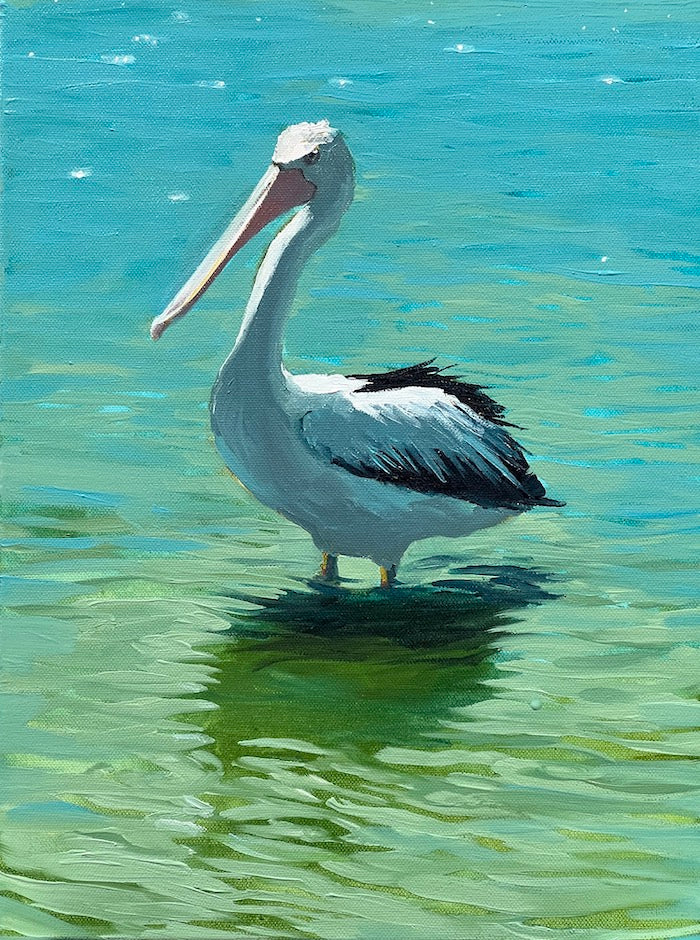 Pelican puddling