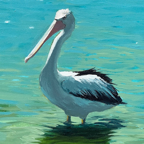 Pelican puddling