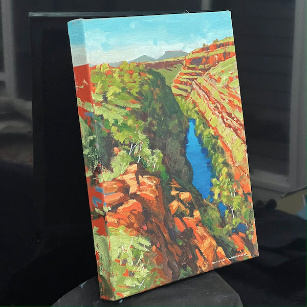 Karijini View